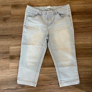 Artisan NY Pinstripe Capris